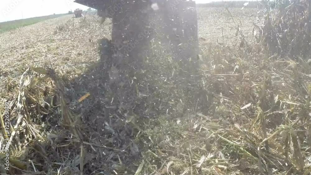 View From Behind the Combine Harvester in Corn Field / Combine harvester in a cloud of dust during corn harvest. HD1080p View From Behind the Combine Harvester in Corn Field / Combine harvester in a cloud of dust during corn harvest. HD1080p