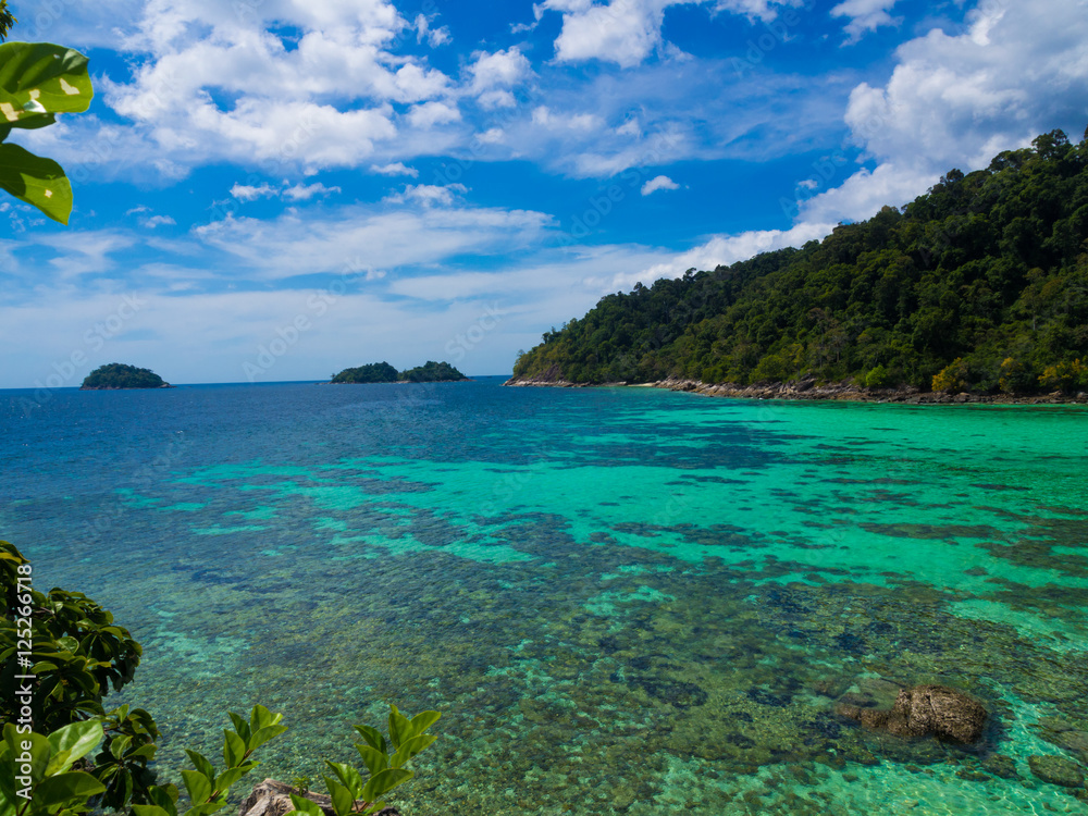 Fototapeta premium Scenic landscape wild nature tropical island