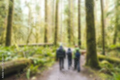 blurred,people hiking in plenty forest in Olympic national park area,Washington,usa. -blurred technique.