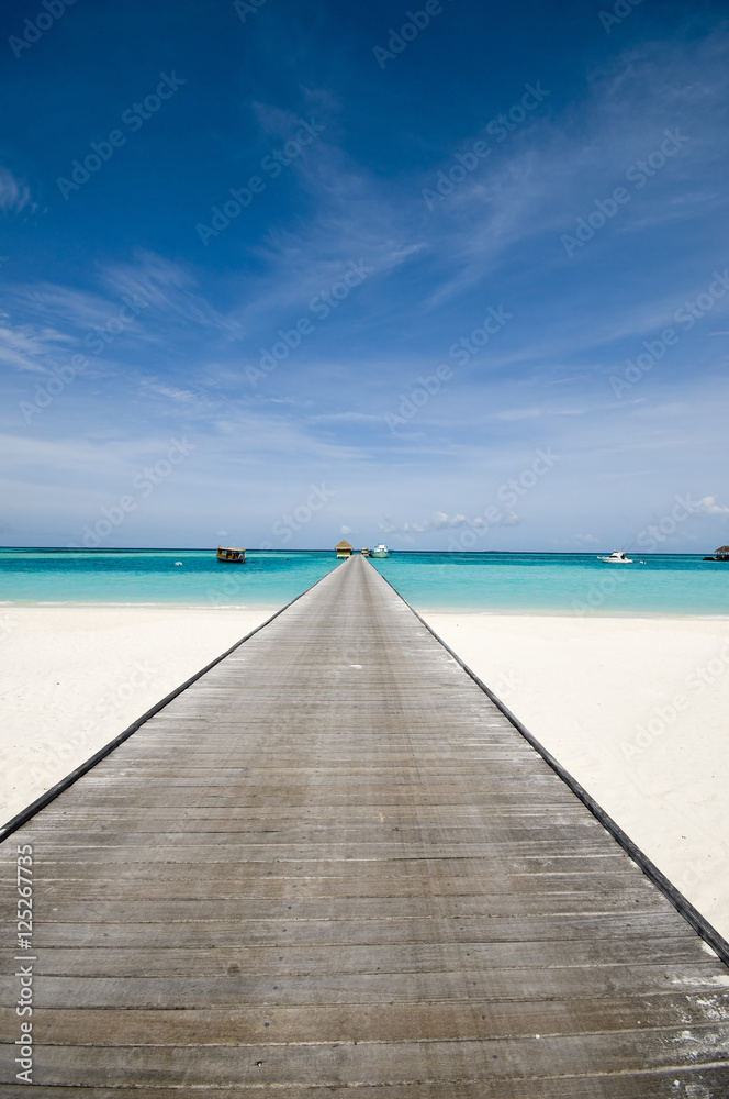 Fototapeta premium bridge into turquoise ocean of the maldives