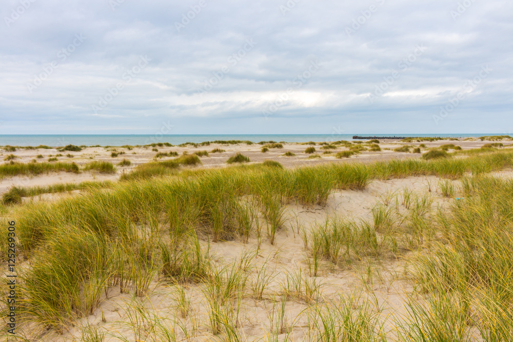 Dunes of Denmark