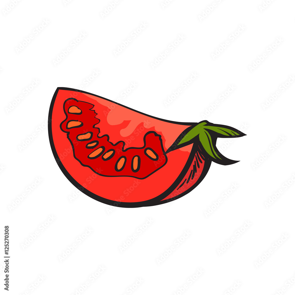 Sketch style drawing of ripe red tomato slice, vector illustration isolated on white background. Quarter of ripe tomato, side view, hand drawn illustration Sketch style drawing of ripe red tomato slice, vector illustration isolated on white background. Quarter of ripe tomato, side view, hand drawn illustration