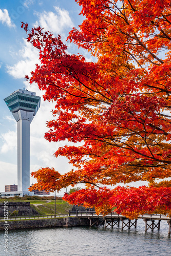 五稜郭タワーと紅葉