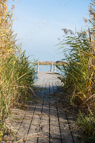 Badesteg in den Neusiedlersee photo