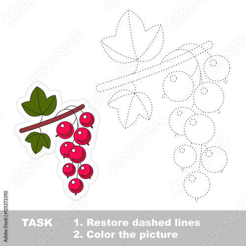 Red currant to be traced. Vector trace game.
