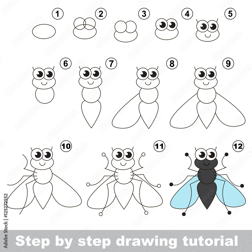 Funny fly. Drawing tutorial.