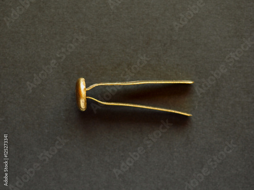 Tablou canvas Brass fastener or split pin