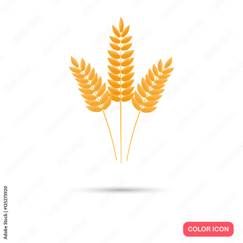 Ears of wheat agriculture crop. Color flat icon Ears of wheat agriculture crop. Color flat icon