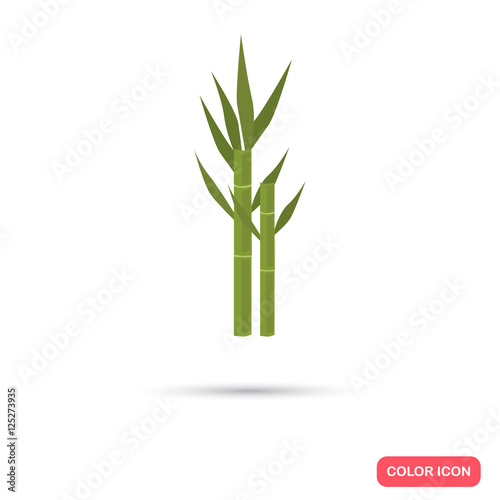 Sugar cane agriculture crop. Color flat icon