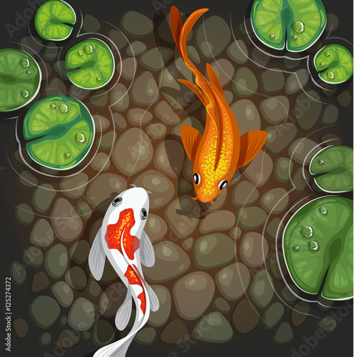 carps underwater top view