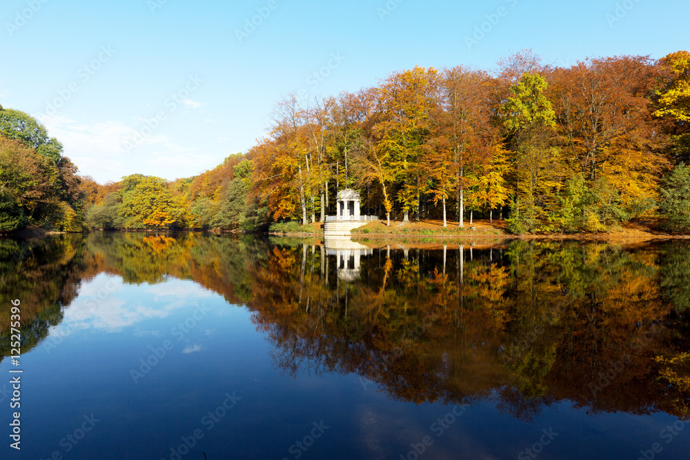 Tranquil Water with marvelous Autumn Reflections