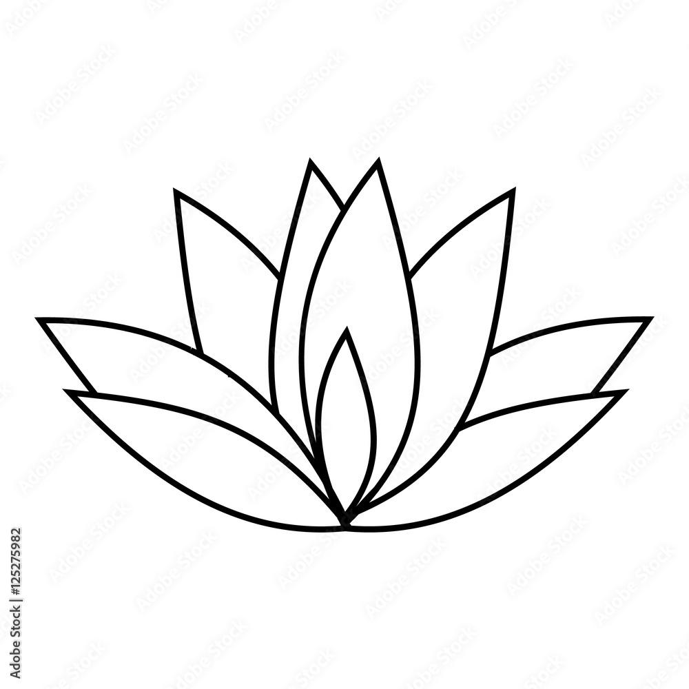 Lotus icon. Outline illustration of lotus vector icon for web