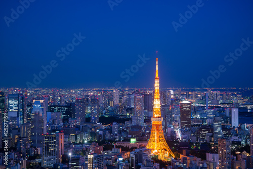 Aerial View of Tokyo Skyline, Rainbow Bridge, and Tokyo Tower