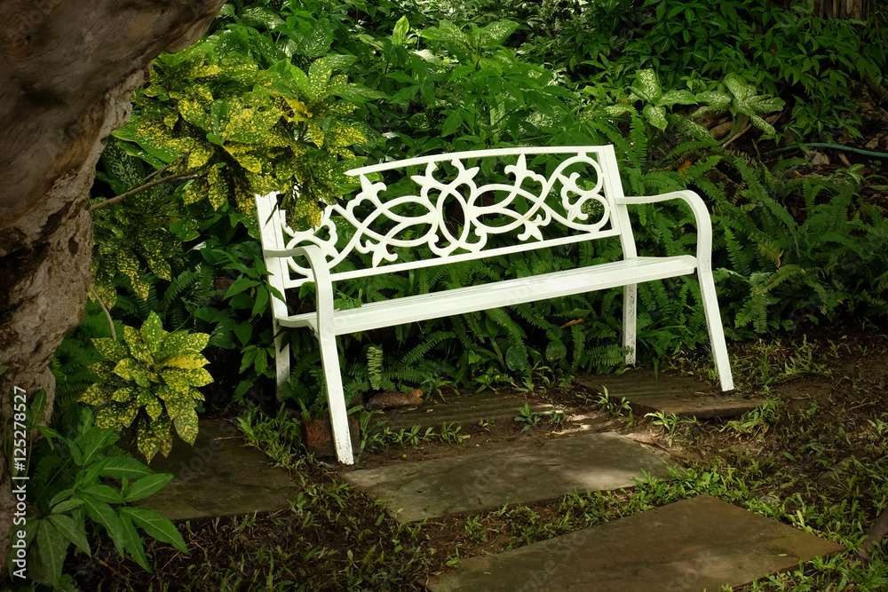 WHITE GARDEN BENCH
Bright white iron chair placed in front of the green bush under the big tree.