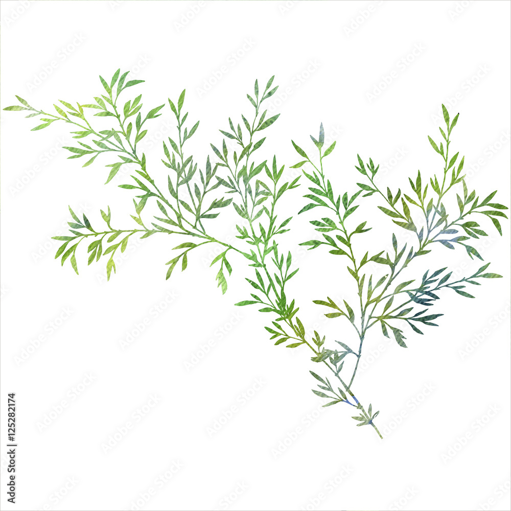 Obraz premium tree branches with leaves