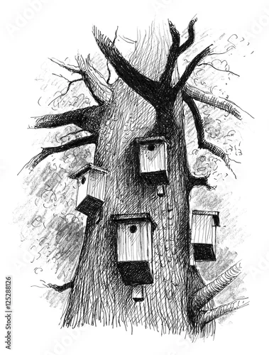 Obraz a powerful old tree in a forest where there are a lot of houses for the birds acting their shelter
