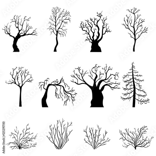 Vector Set of Silhouettes of Bare Trees and Bushes