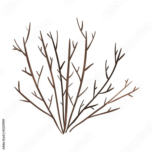 Vector Single Bare Brown Bush