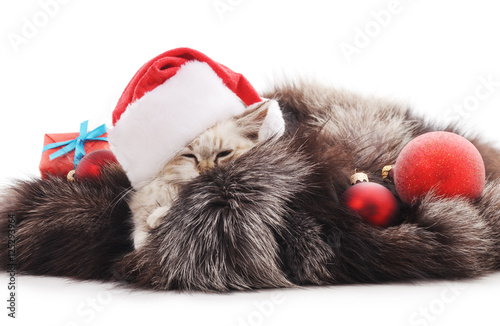 Cat in a Christmas hat on a fur coat. © voren1