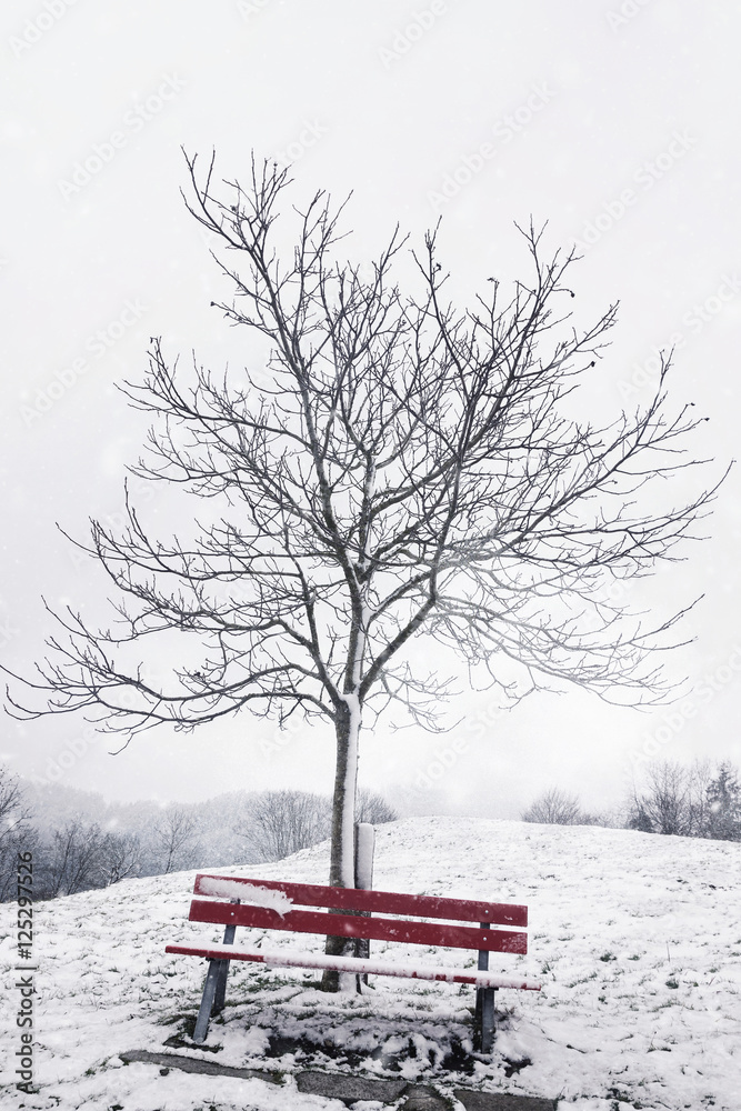 Rote Bank in Winterlandschaft Rote Bank in Winterlandschaft