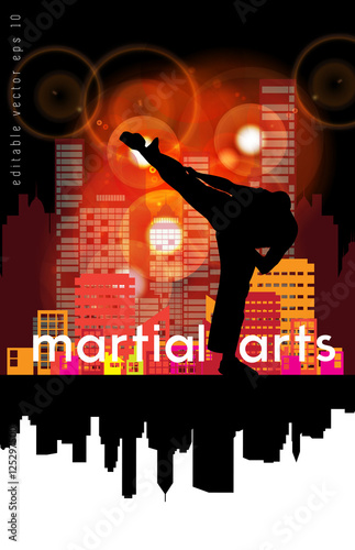 Vector of karate