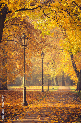 Fototapeta Naklejka Na Ścianę i Meble -  Colorful tree alley with row of lanterns in the autumn park on a sunny day in Krakow, Poland