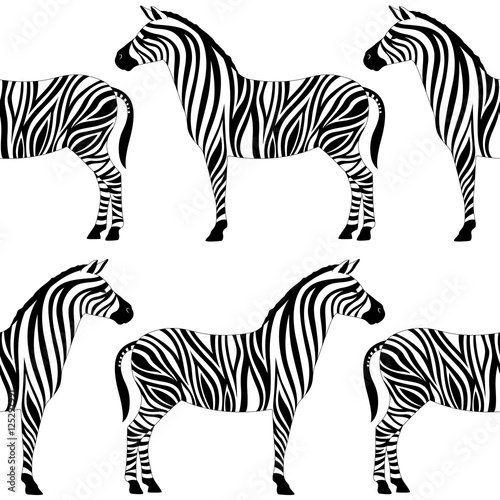 Seamless pattern with zebra silhouette on white background. Vector illustrations. African animals.