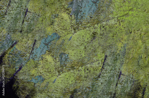 old spotty stained concrete wall texture background. green, yellow color. covered with moss
