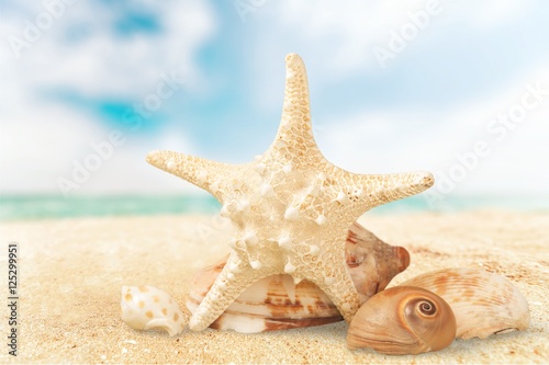 Starfish.