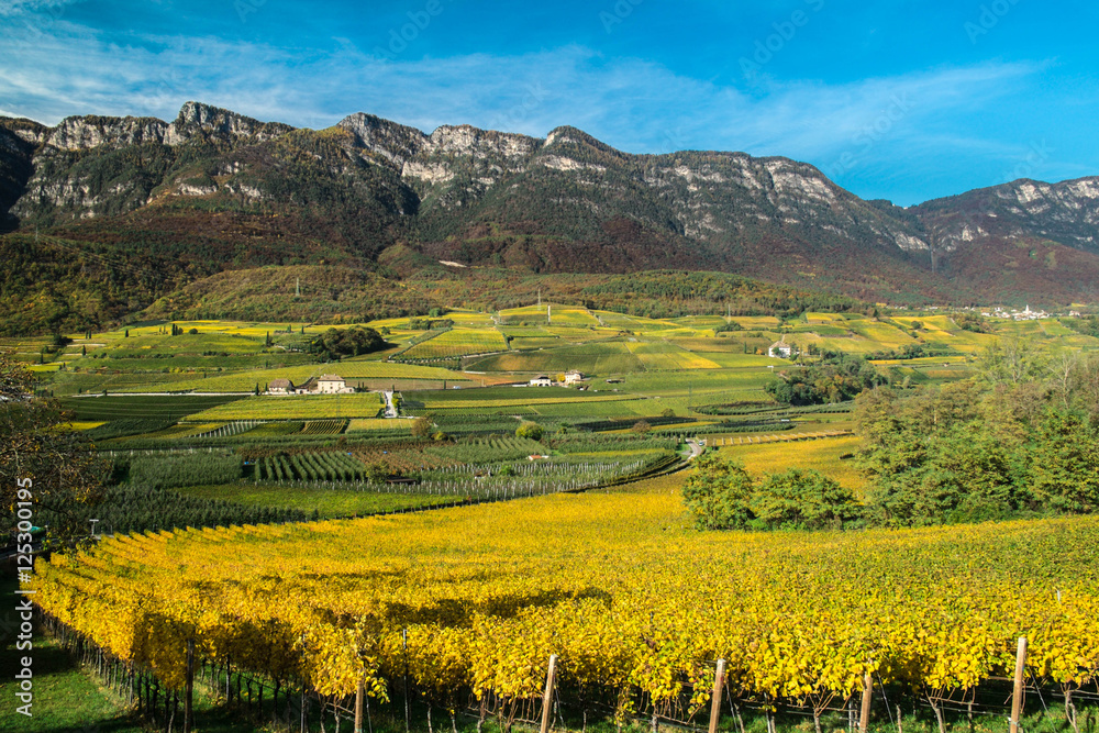Herbst im Südtiroler Weinland