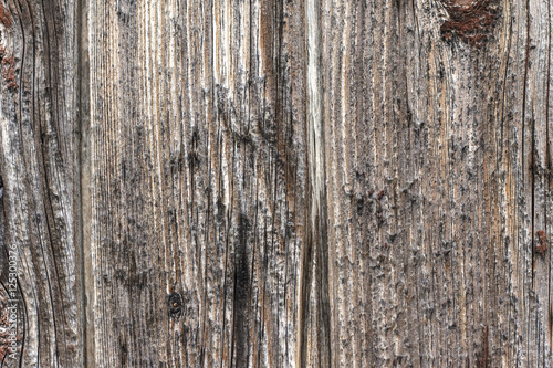 texture of wooden boards  light wood surface