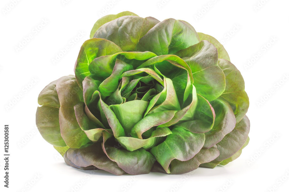Obraz premium Bunch of fresh green salad isolated on white background cutout