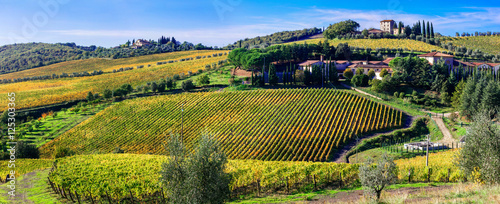 Traditional scenery of Toscana .beautiful Chianti - vine region, Italy photo