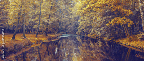 autumn forest with orange leaves and river