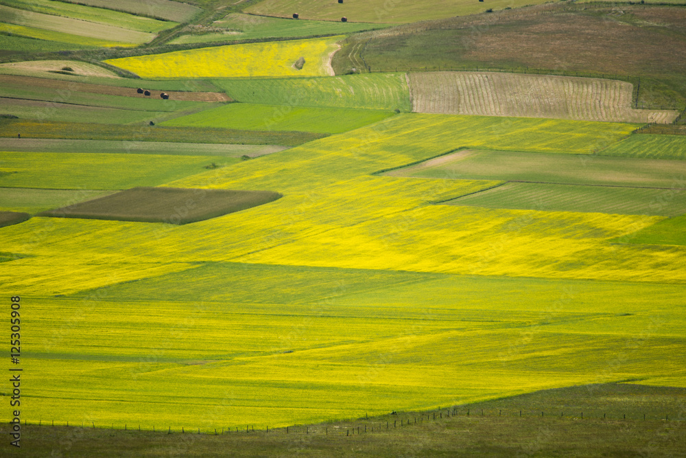 Obraz premium Castelluccio di Norcia