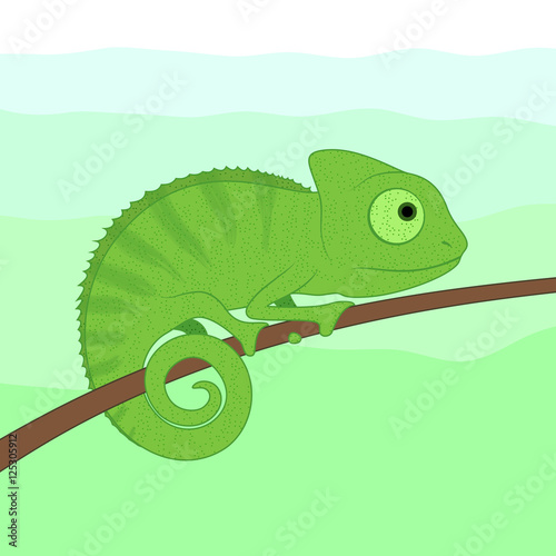 Green cartoon chameleon