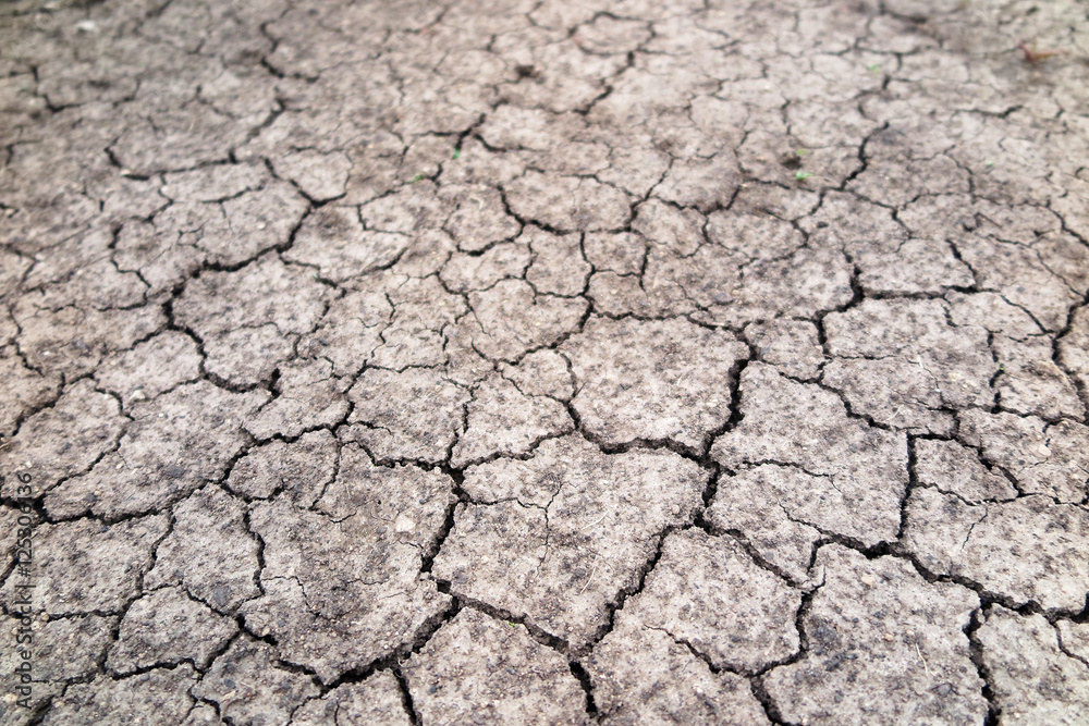 Cracked fertile soil in the early spring garden Cracked fertile soil in the early spring garden