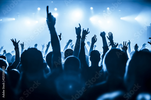 Jubelnde Konzertbesucher auf Rock-Konzert