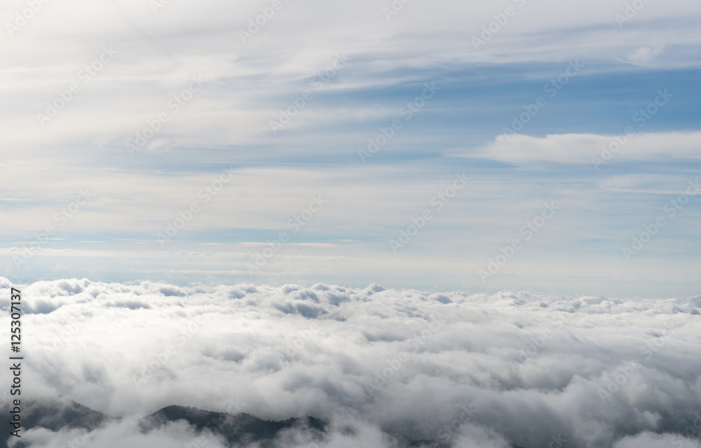 clouds from the plane clouds from the plane
