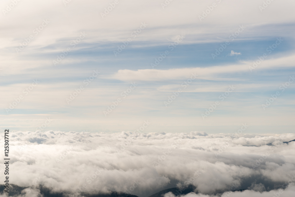 clouds from the plane