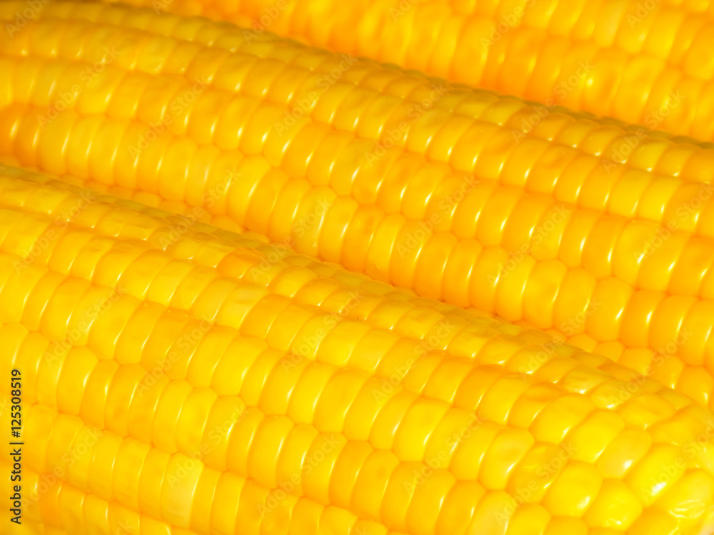Closed up Boiled Orange Yellow Sweet Corn for Background, Texture, Banner Closed up Boiled Orange Yellow Sweet Corn for Background, Texture, Banner