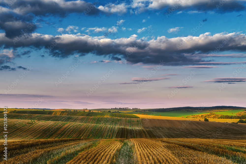 Landscape with sunny dawn in a field with clouds Landscape with sunny dawn in a field with clouds