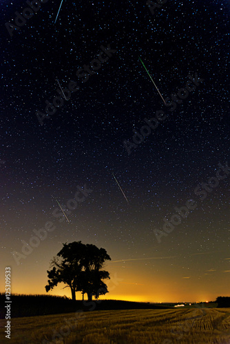 dark blue sky with stars over the meadow, astronomy background, photo