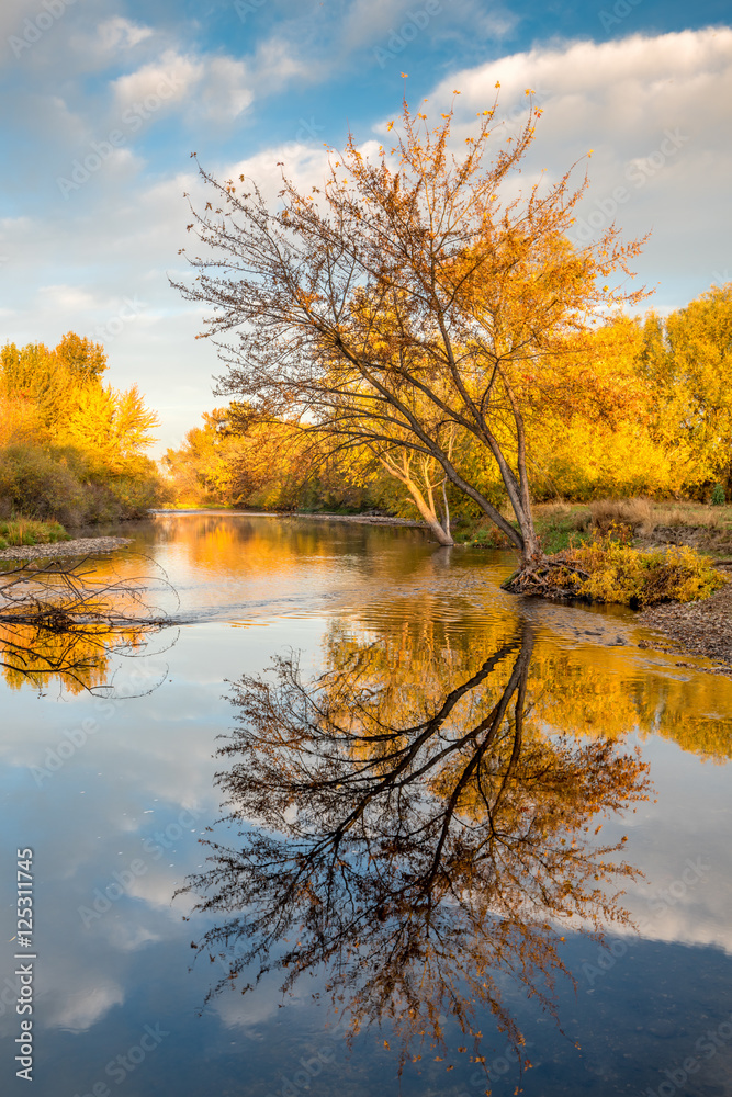 Boise River with fall colored trees Boise River with fall colored trees