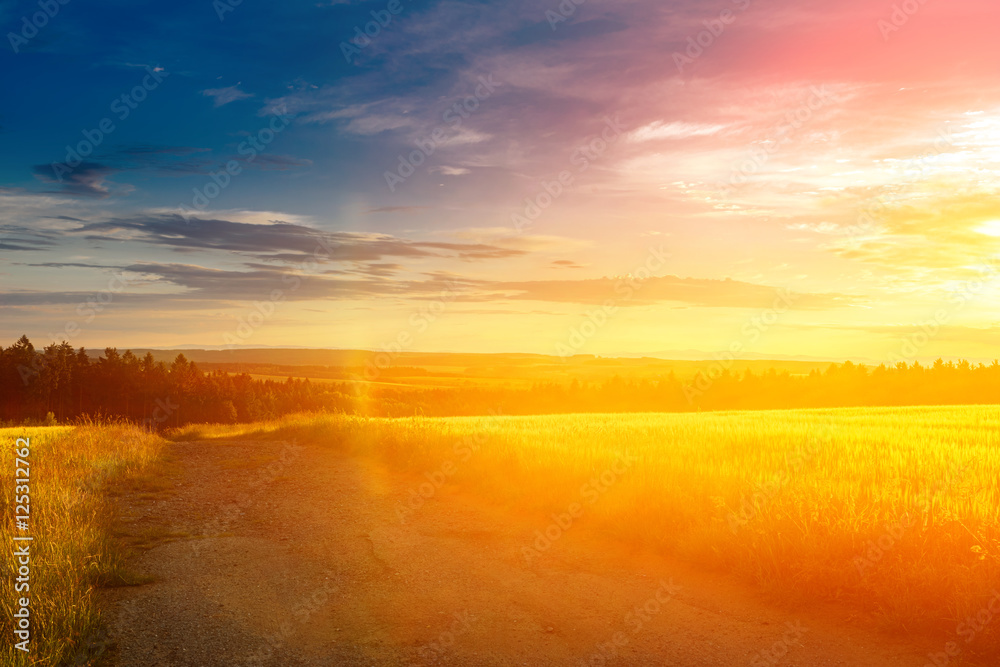 Obraz premium Meadow with flowers and trees during sunset