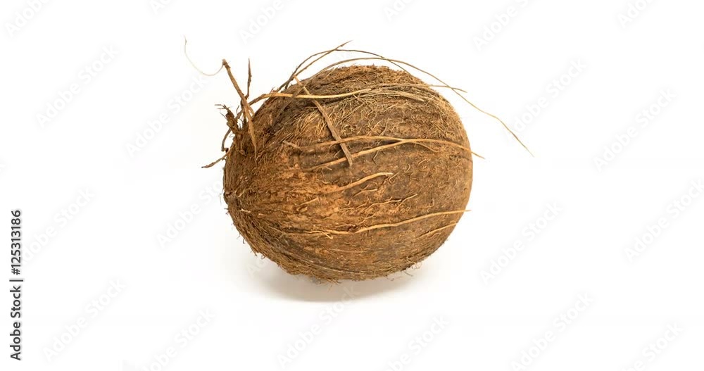 coconut on white coconut on white
