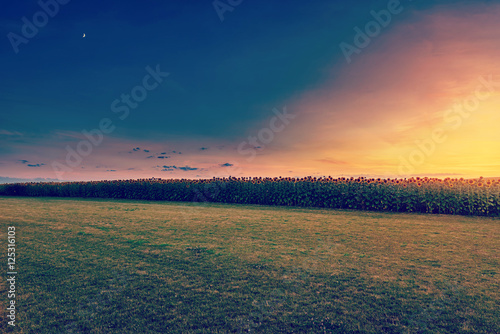 Landscape with sunny dawn in a field with clouds Instagram wash-