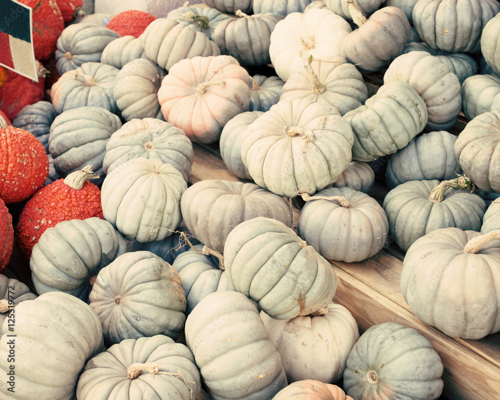 Autumn harvest - Vintage pumpkins