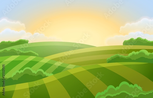 Rural landscape with green fields