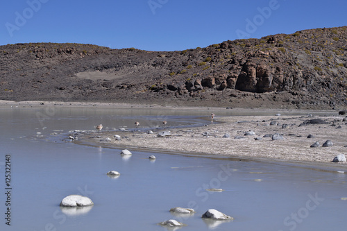 Salt lagoon at the Atacama desert.